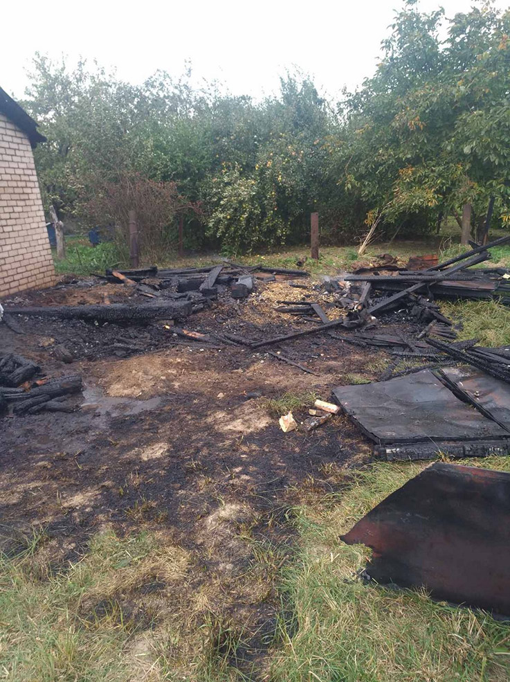 chigevichi 1