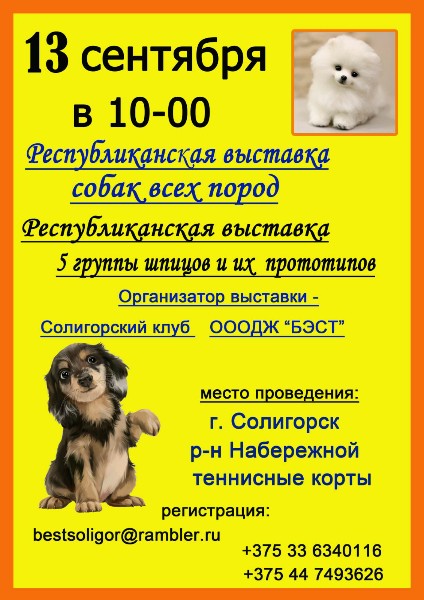 dog 2