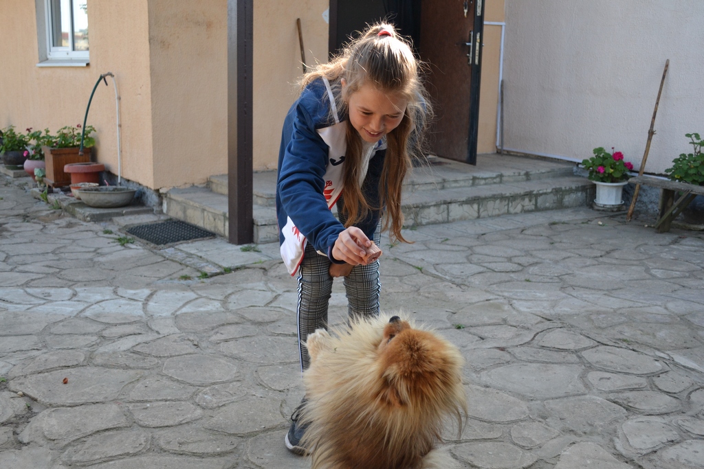 pom 1