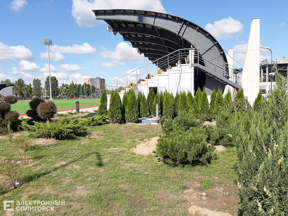 stadium 6