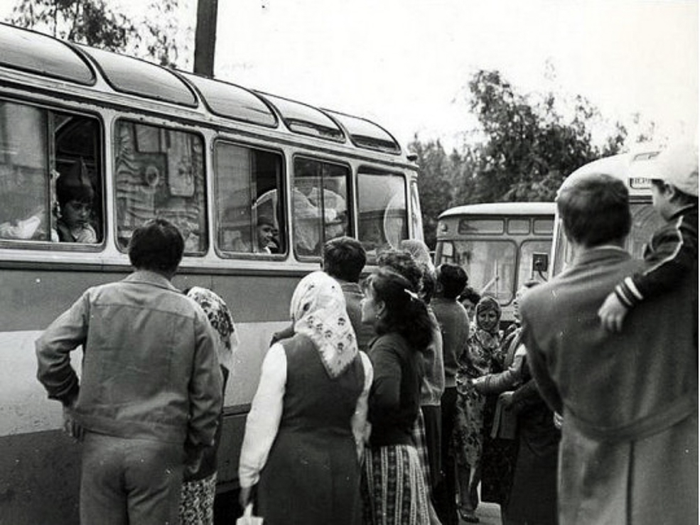 Likvidator