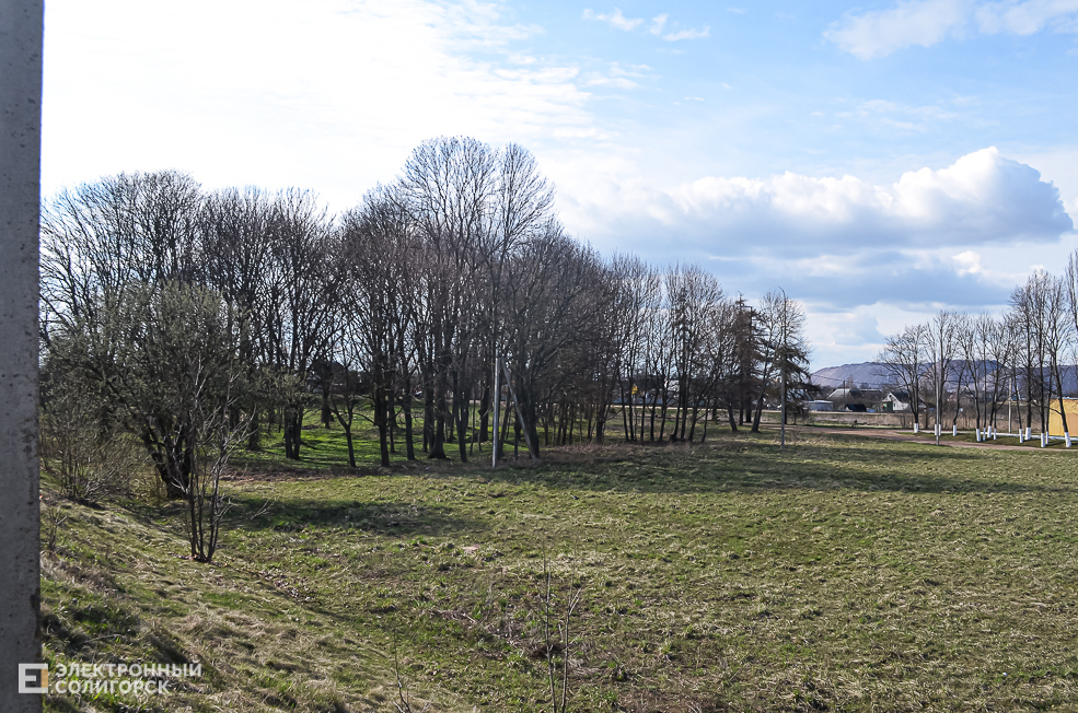 Meciavichi 25