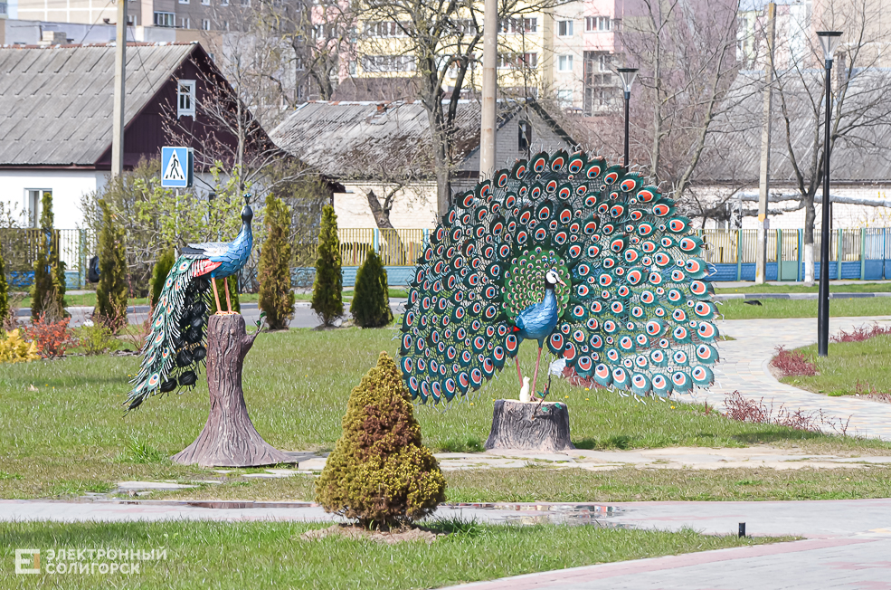 Spring 30
