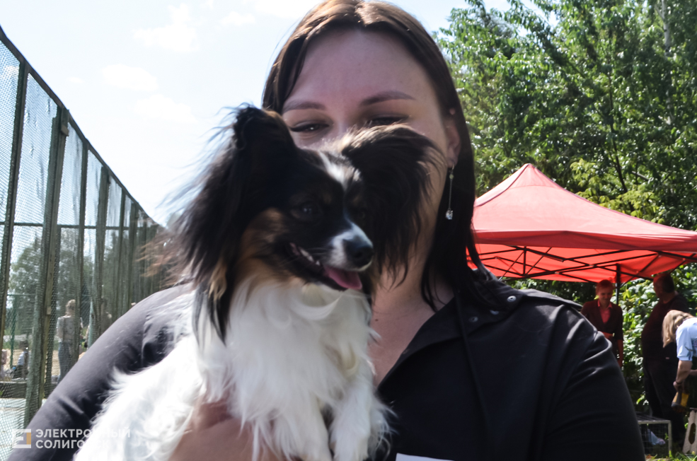 Dog 20