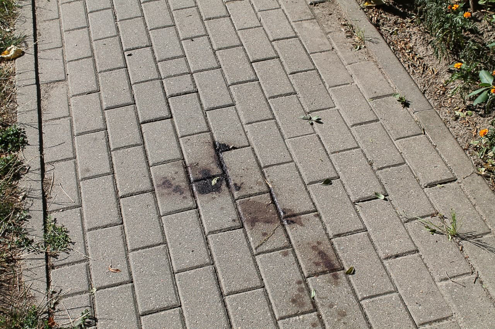 Ubijstvo 6