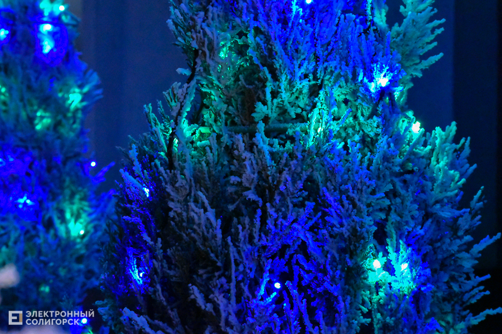 Illuminaciya 15
