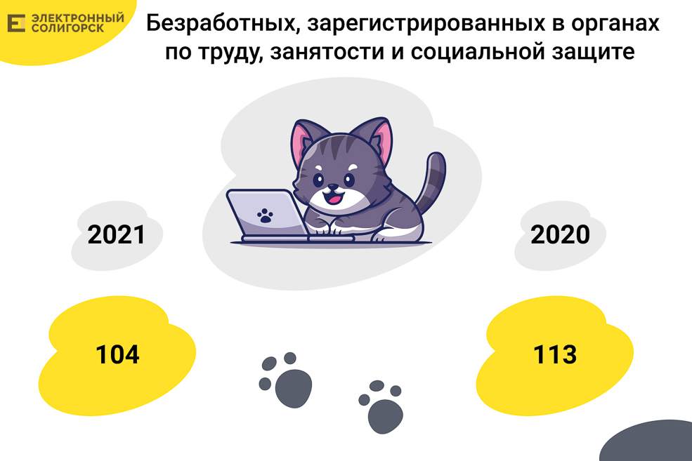 Soligorsk cat 2