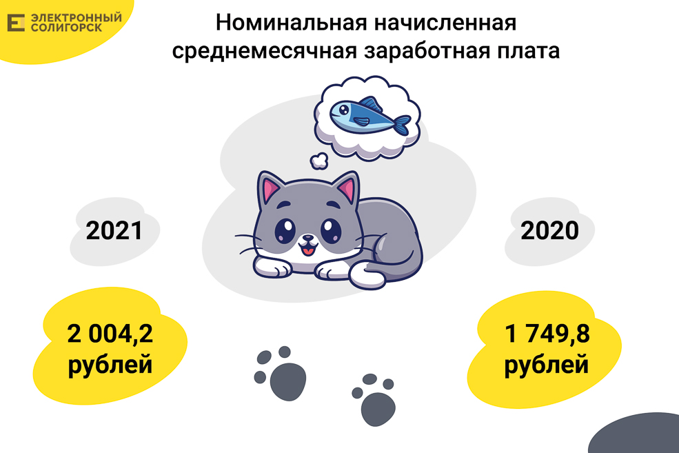 Soligorsk cat 3