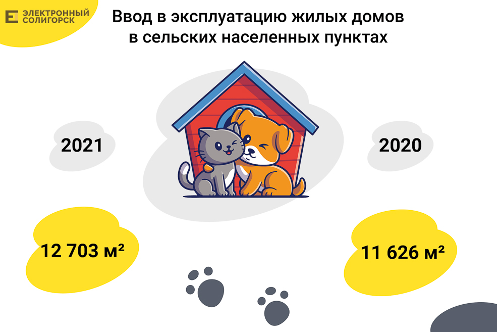 Soligorsk cat 5