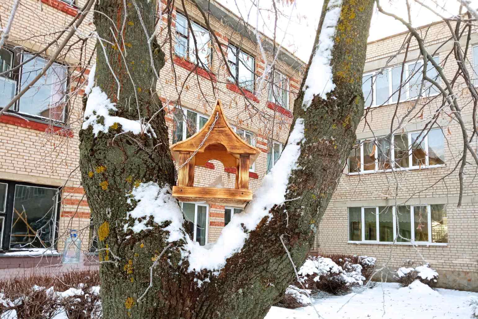 kormushka 2