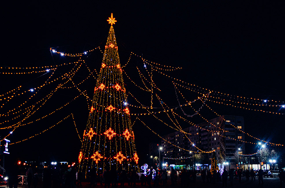 Tree 7