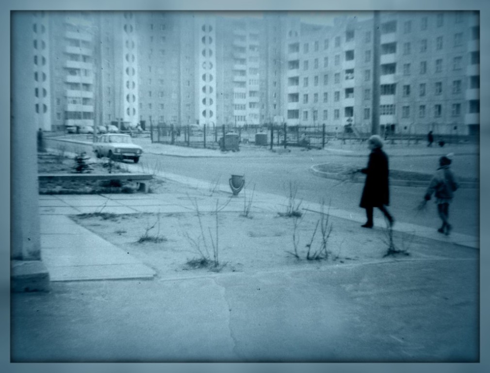 Bogomolova
