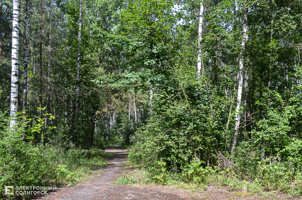 Kladbische 14