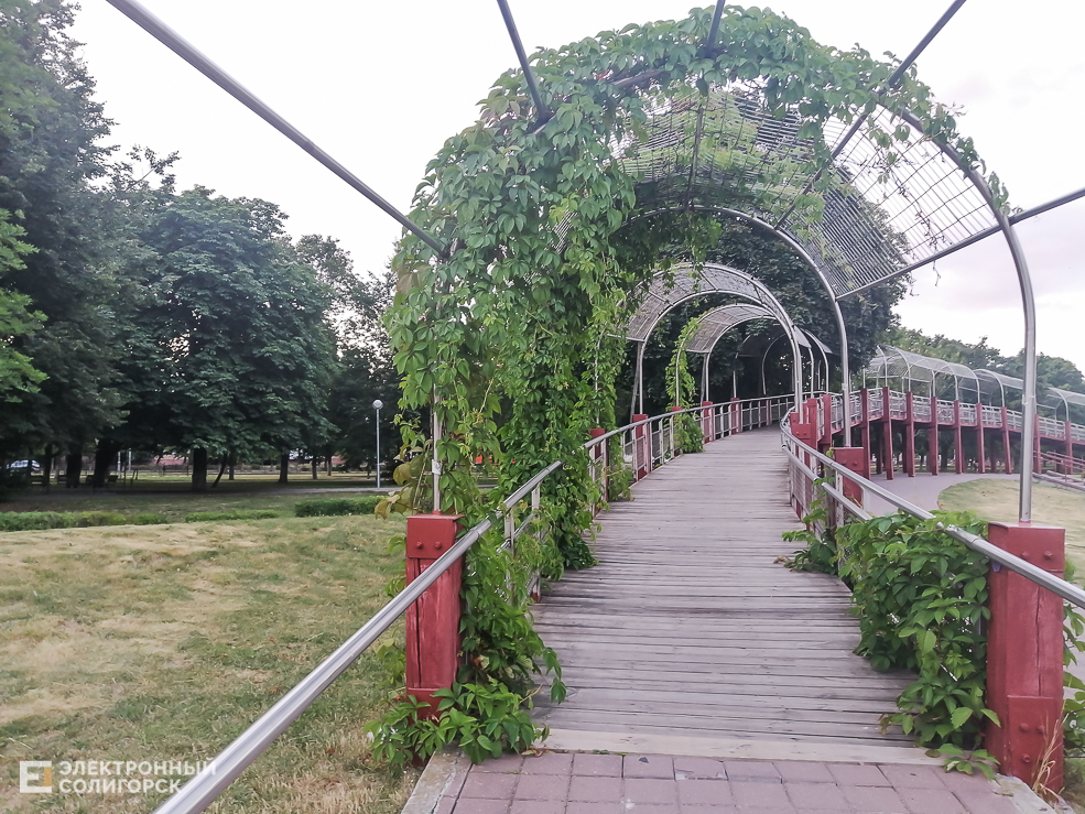 Park 7