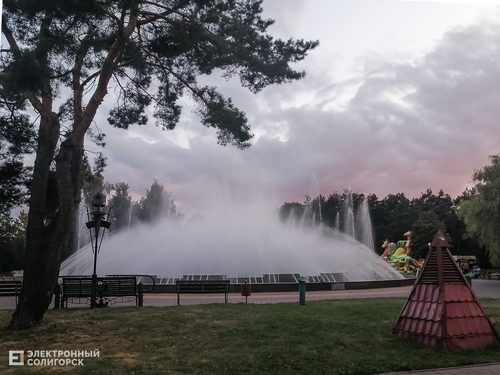Park 8