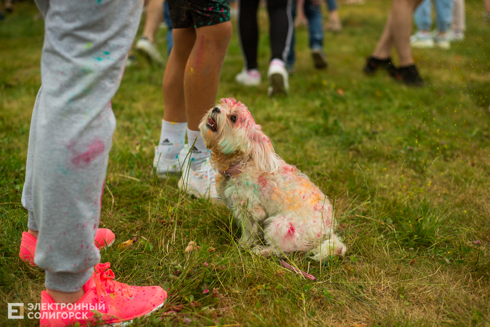 colorfest