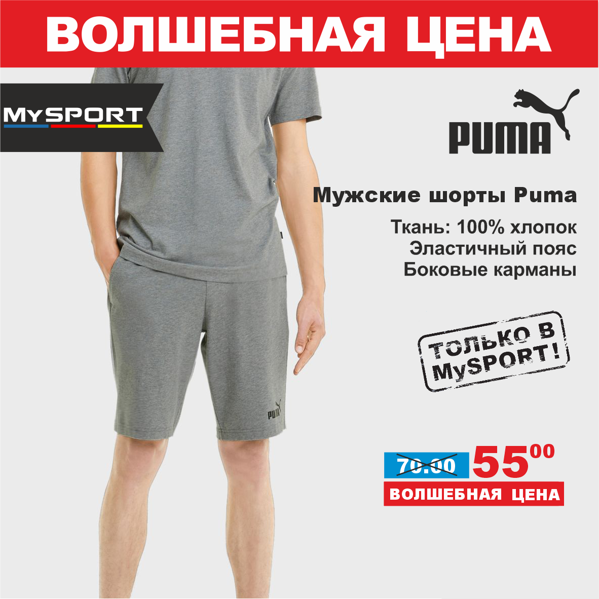 Puma 12