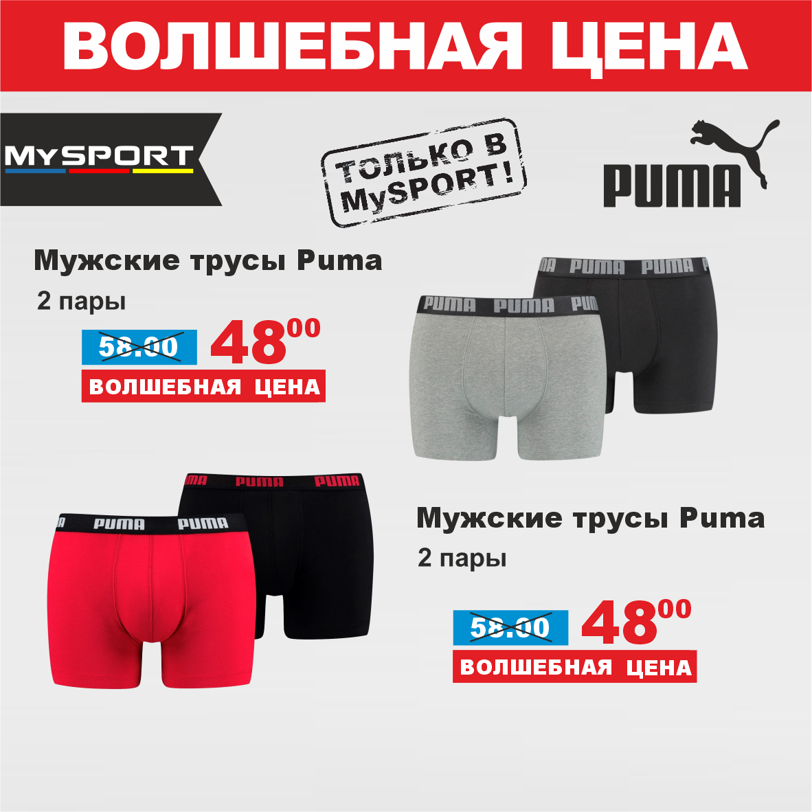 Puma 6