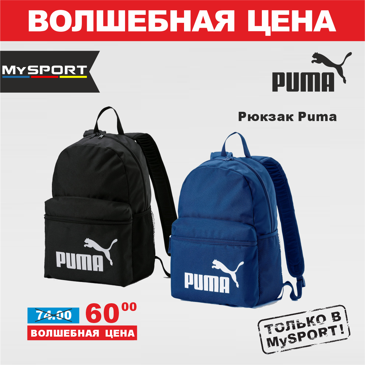 Puma 8