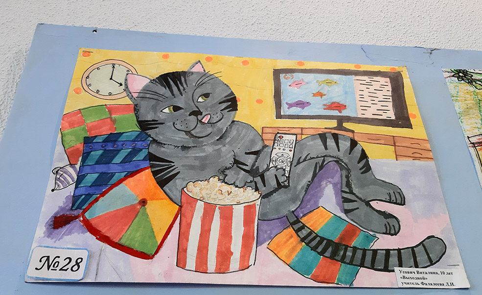 cat 15 2