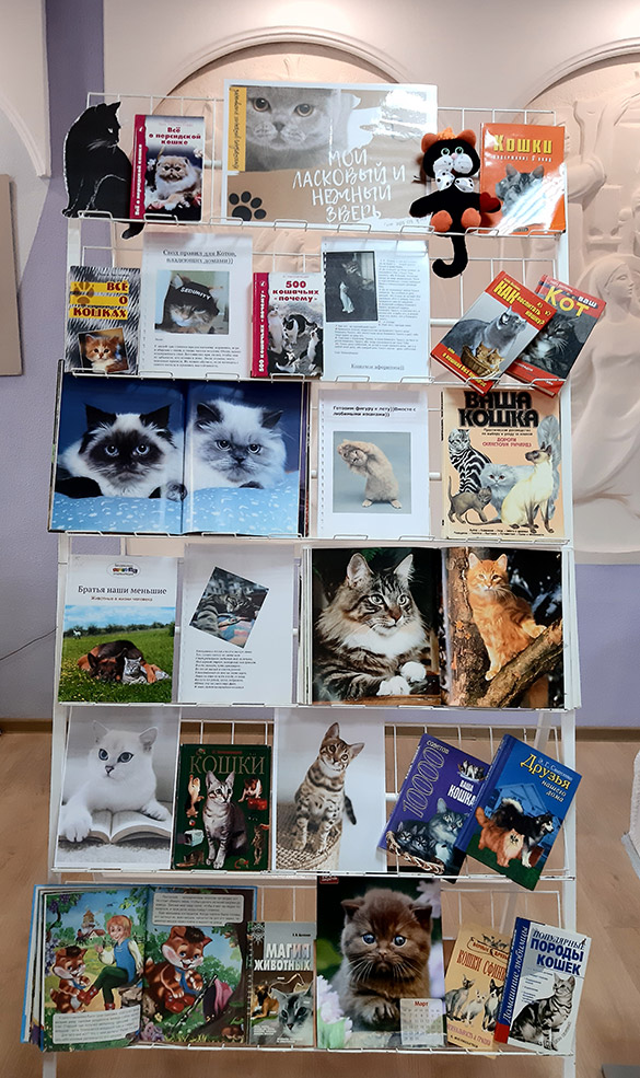 cat 8
