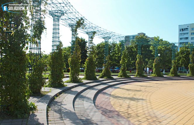park 4h6