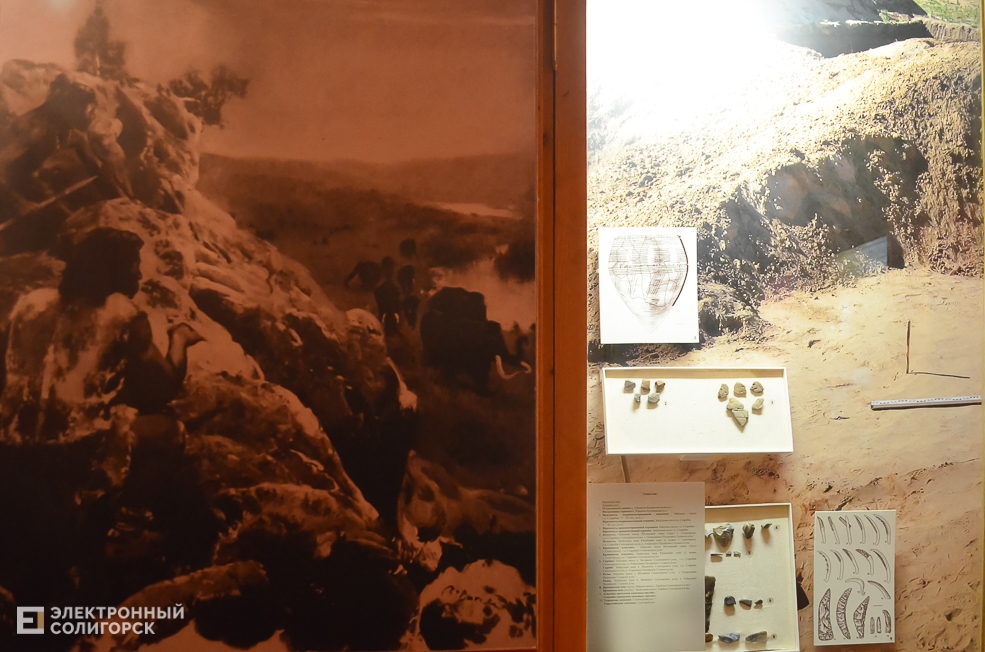 Museum 31