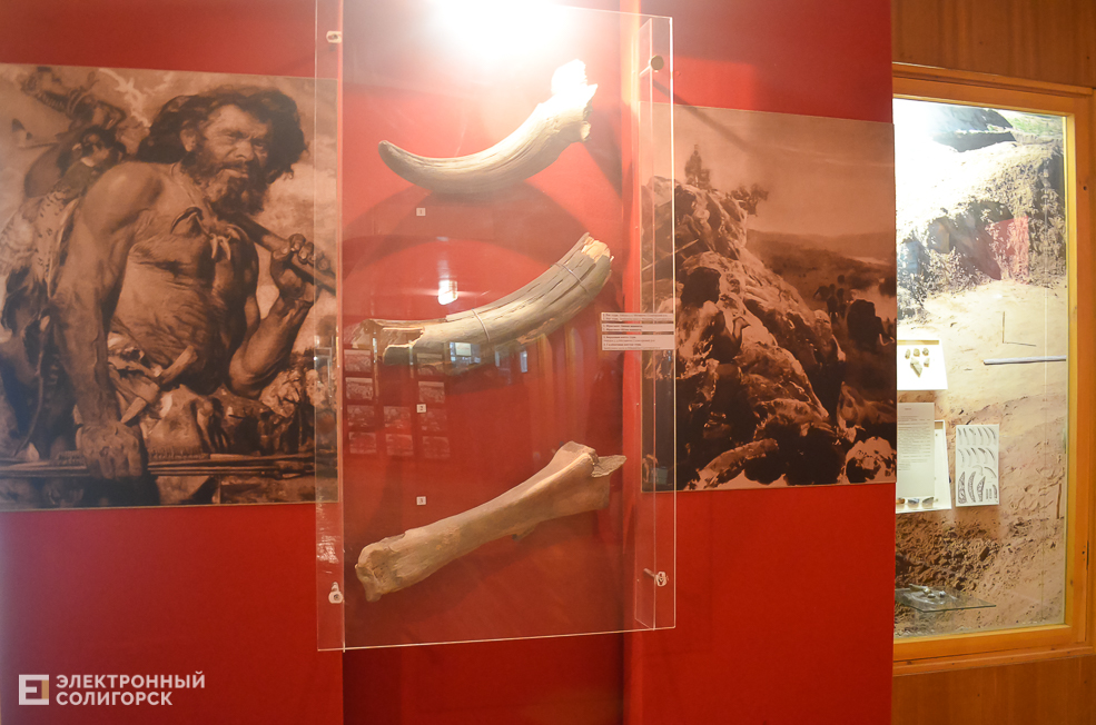 Museum 40