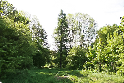 Park 7