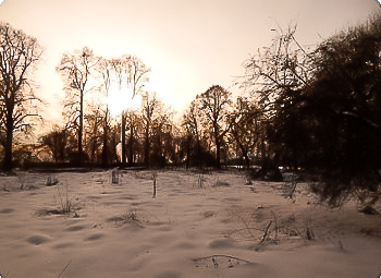 Park 8