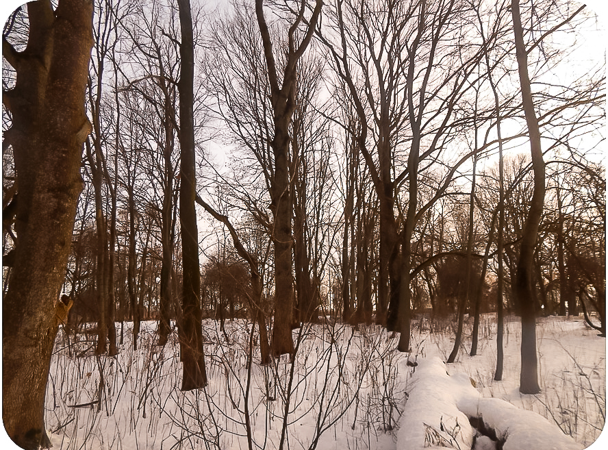 Park