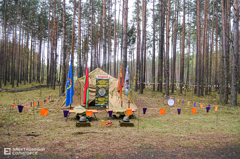 Krasnaya Gvozdika 8