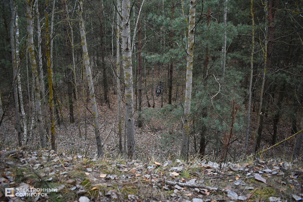 Lager 6