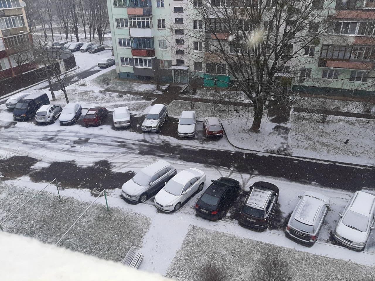 snow 1