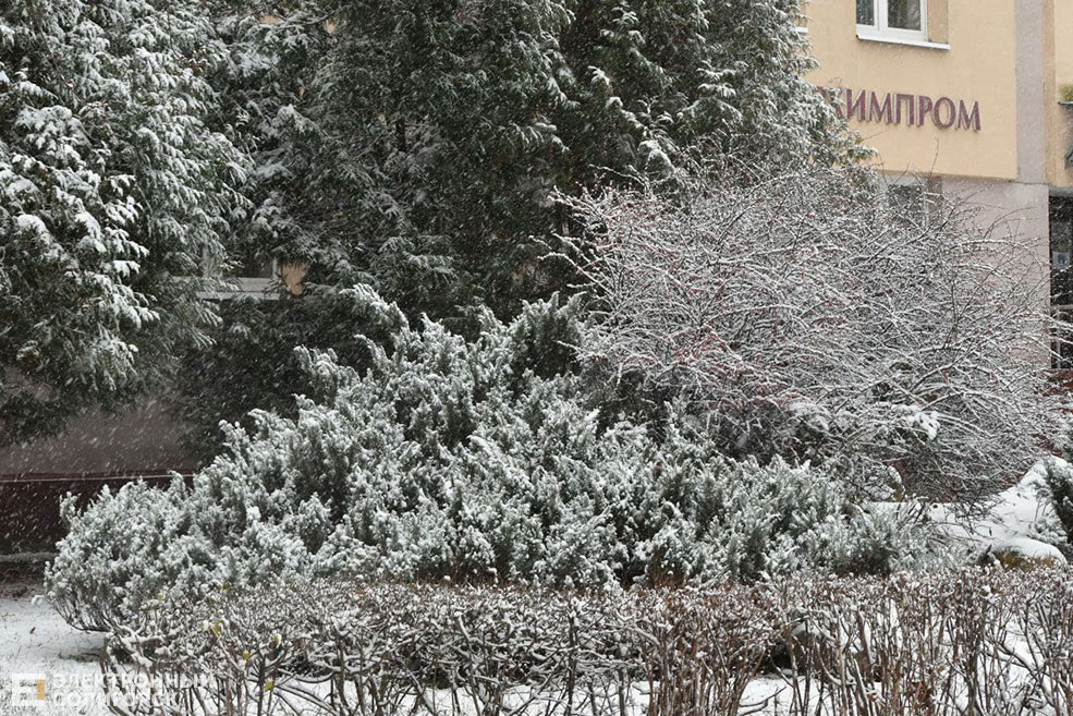 snow 15