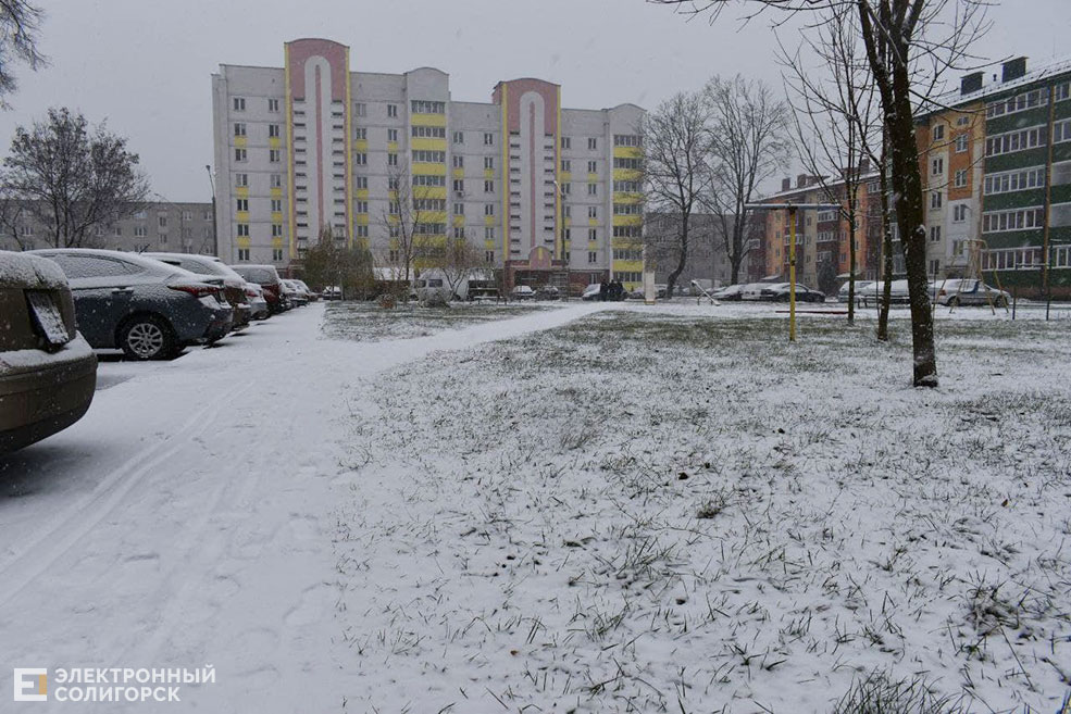 snow 19