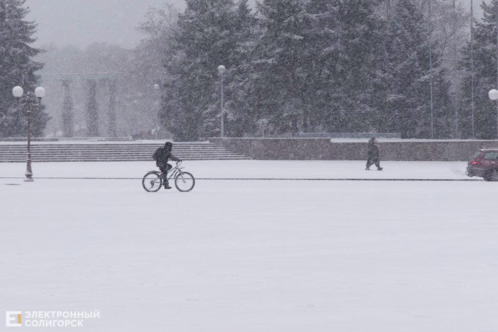 snow 5