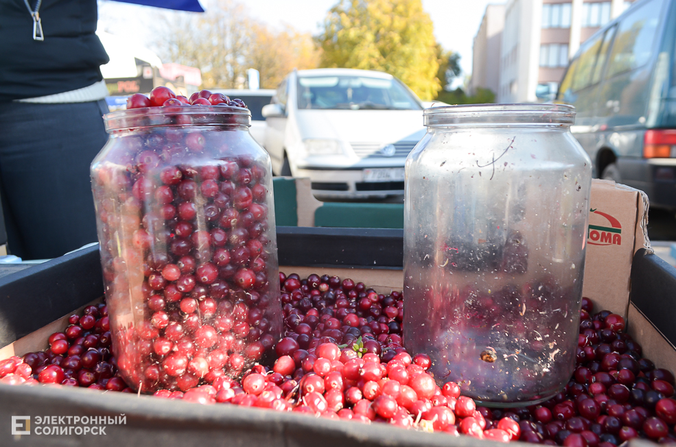 Yarmarka autumn 10