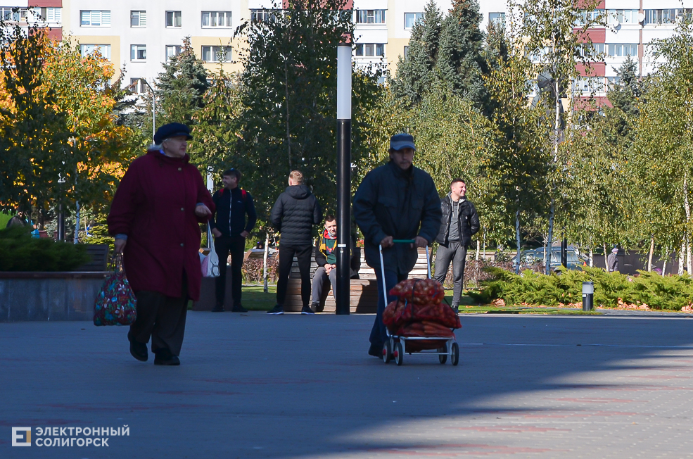 Yarmarka autumn 39