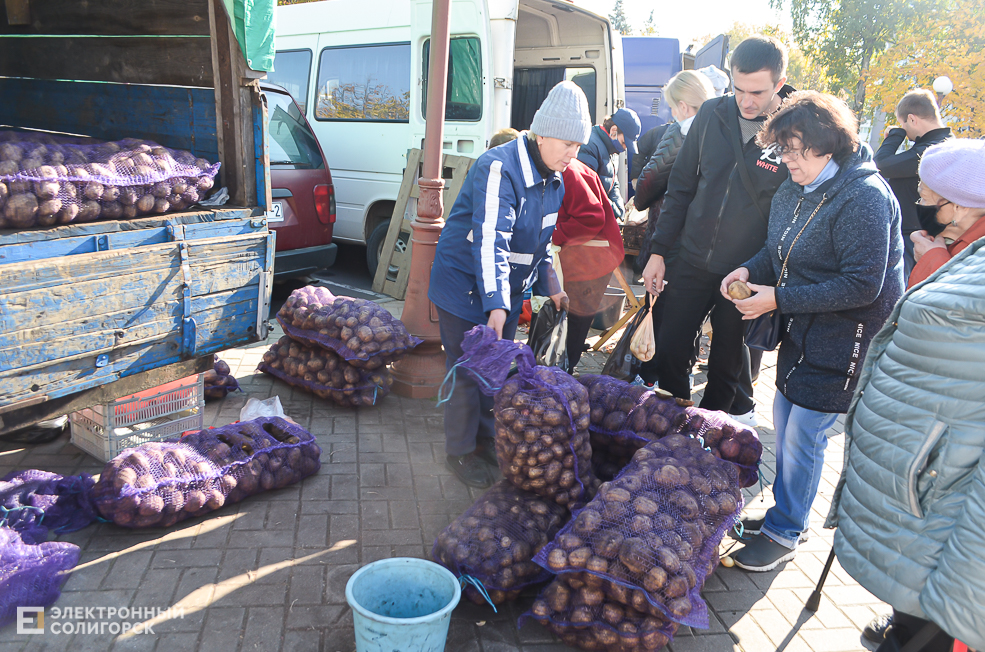 Yarmarka autumn 6