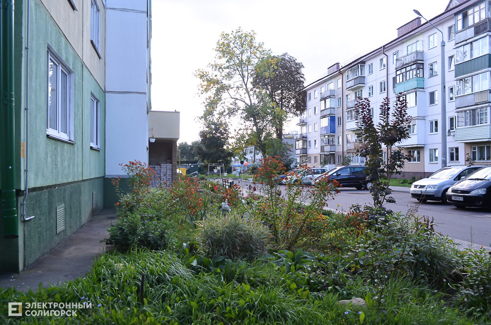 Soligorsk dvor 106