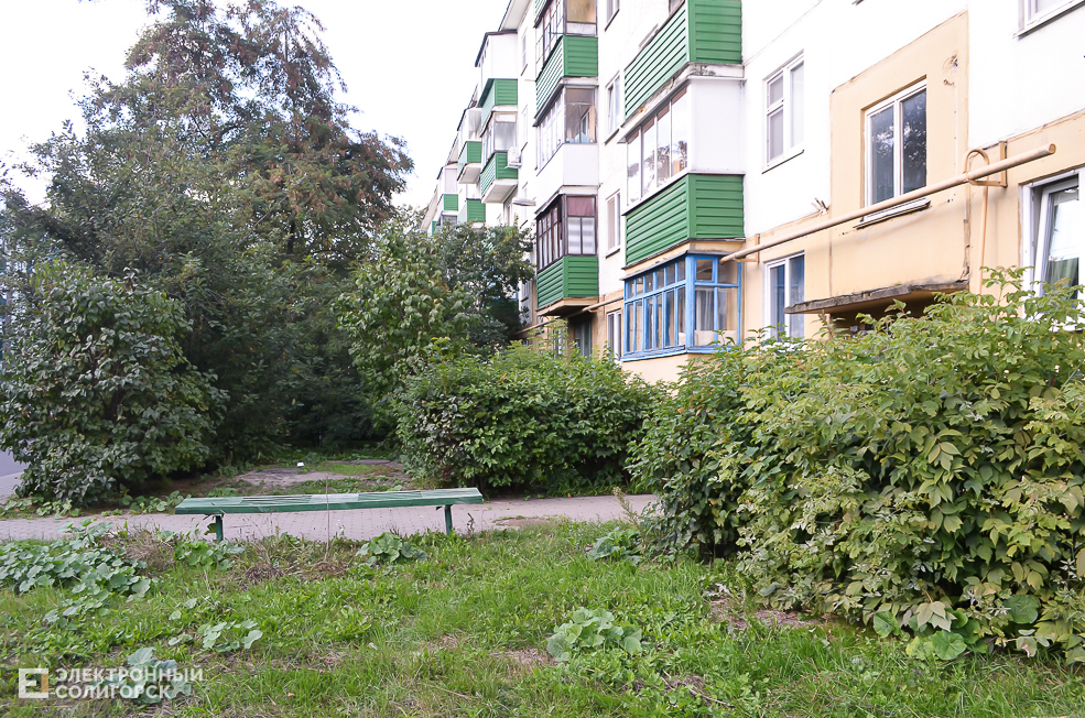Soligorsk dvor 119