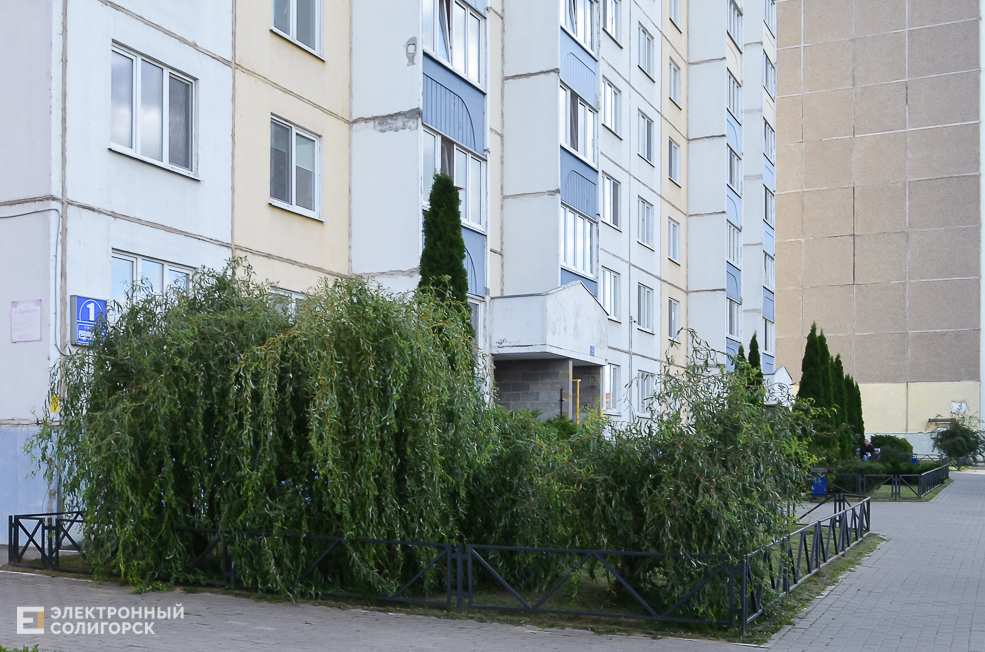 Soligorsk dvor 12