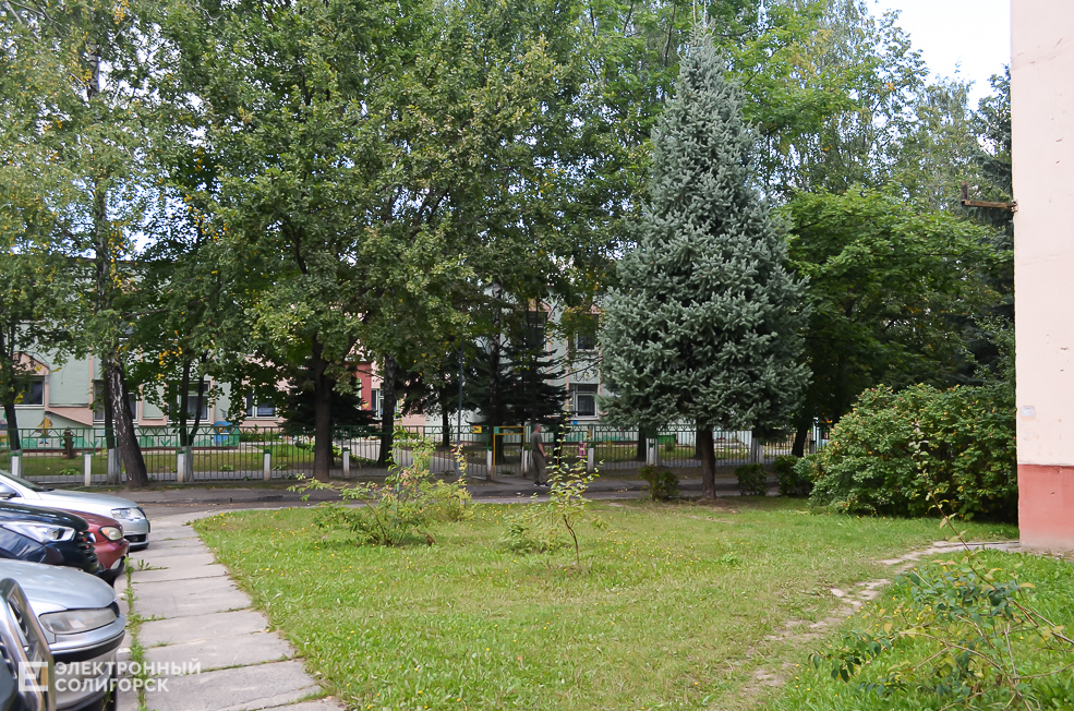Soligorsk dvor 49