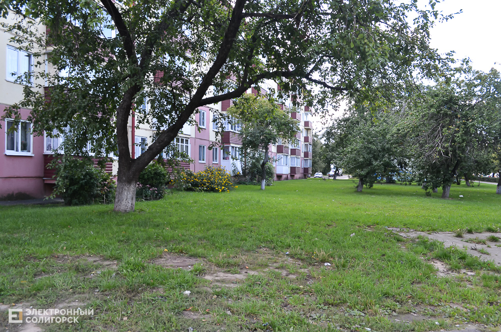 Soligorsk dvor 81