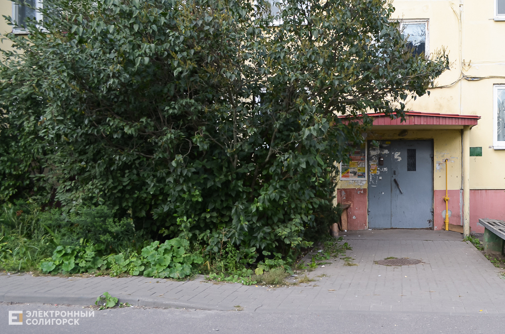 Soligorsk dvor 83