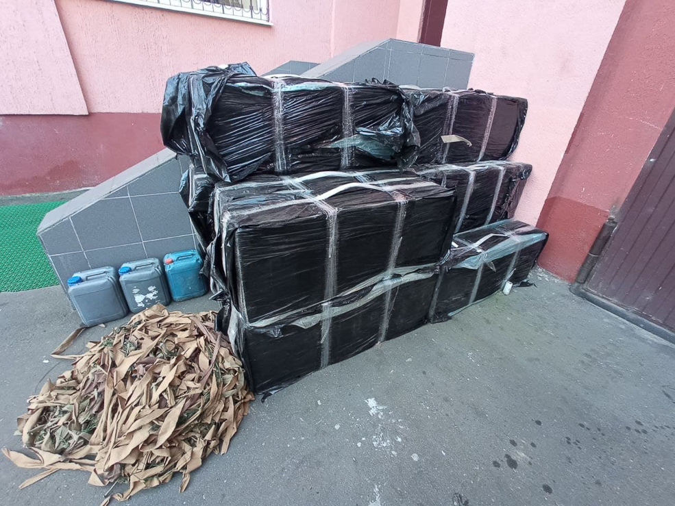 Tabak 8