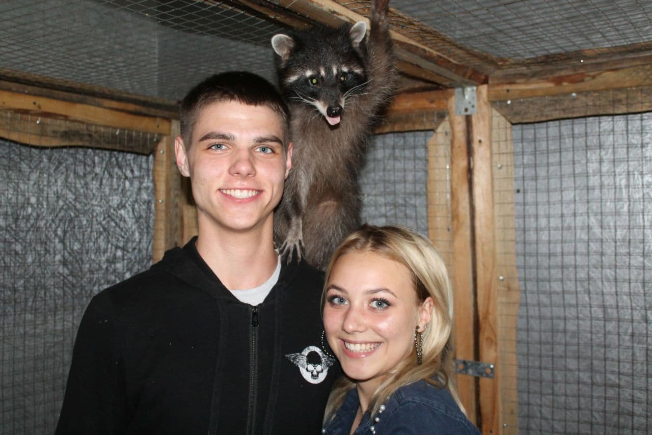 zoo 2