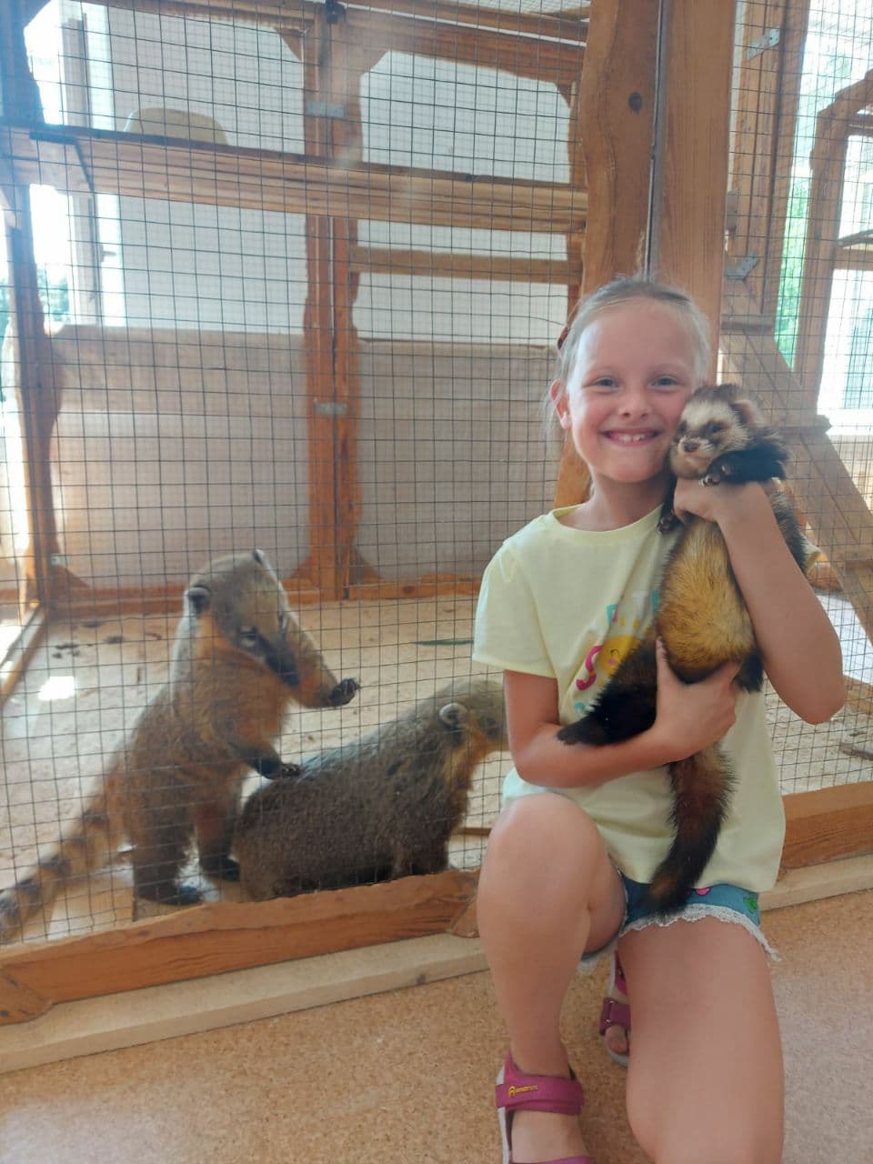 zoo 6