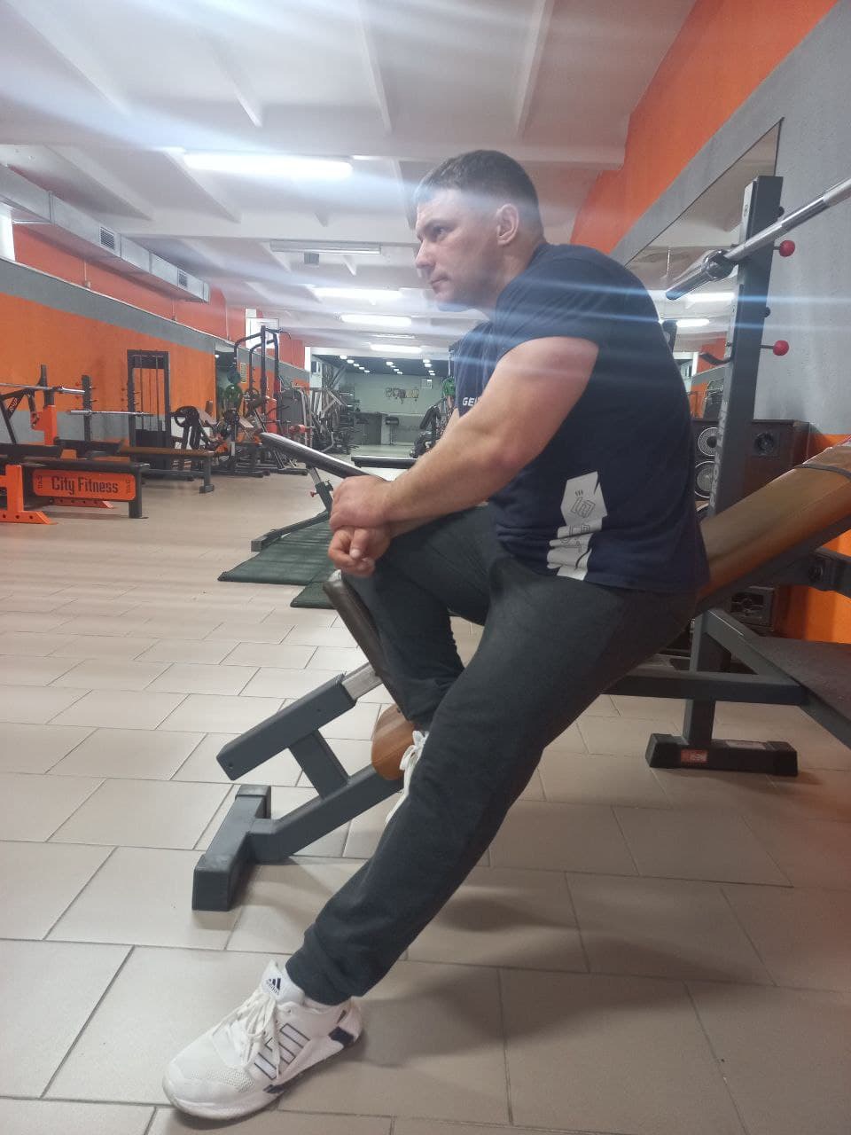 hamicevich 1